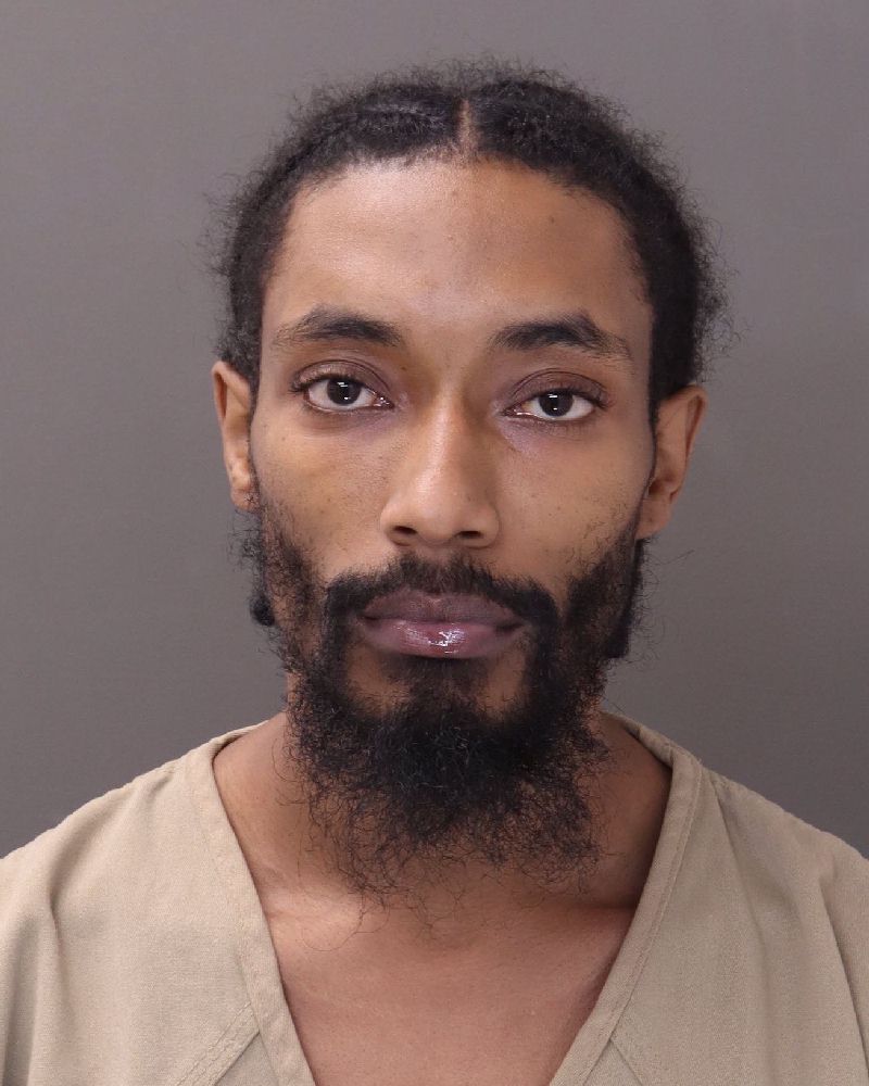 Booking photo of Nikosi Fulgham