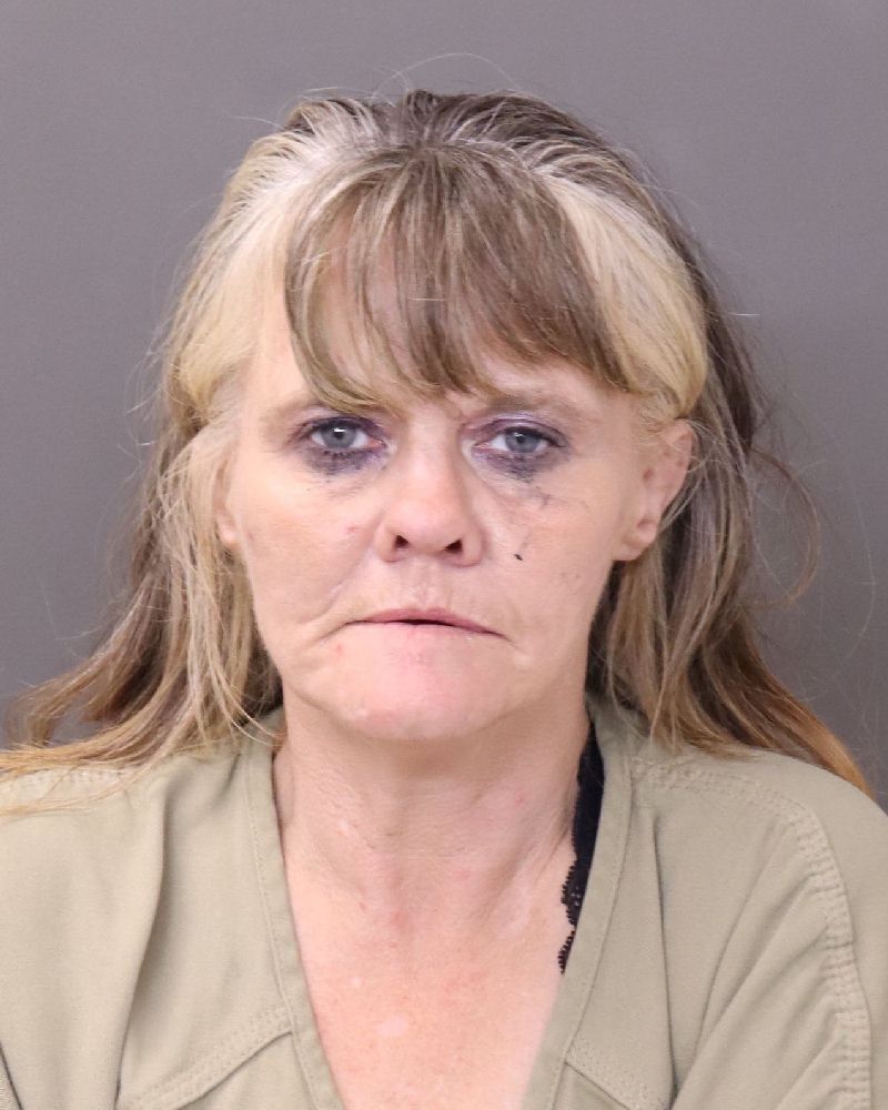 Sherry Lynn Mullins booking photo