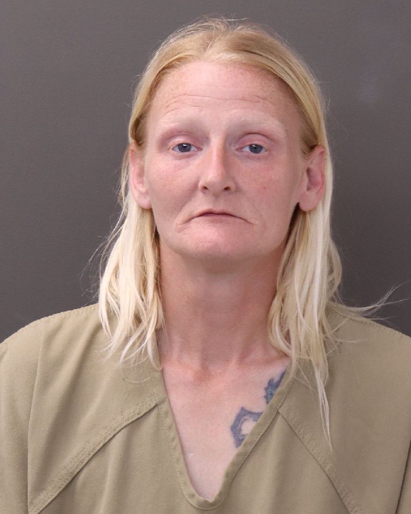 Pamela Dawn Shull booking photo