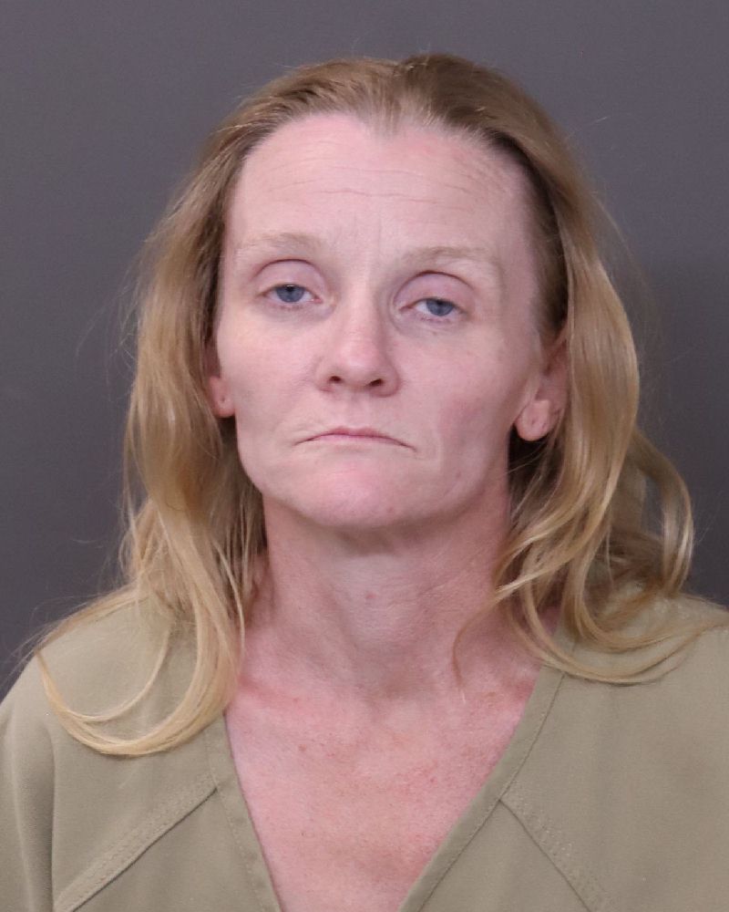Booking photo of Anna Rose King