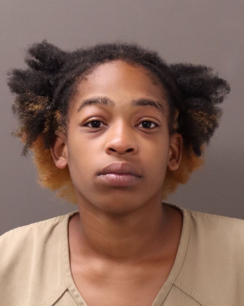 Booking photo of Destiny M Menzie