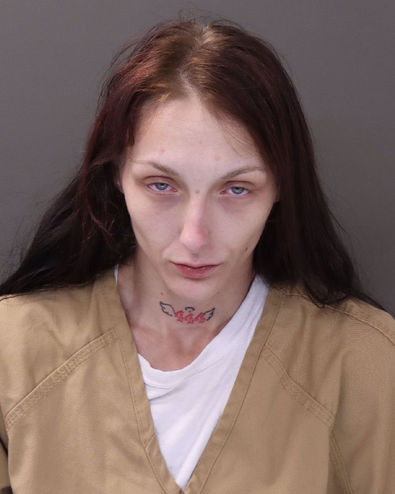 Booking photo of Amanda Michelle Getman