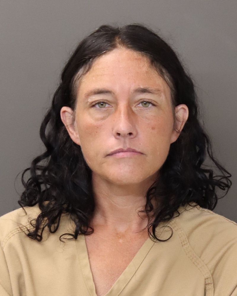 Booking photo of Tina Marie Johnston