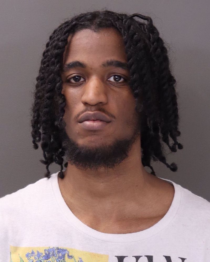 Dominick Hamilton booking photo