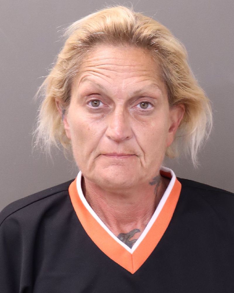 Sherrie Vandermark booking photo