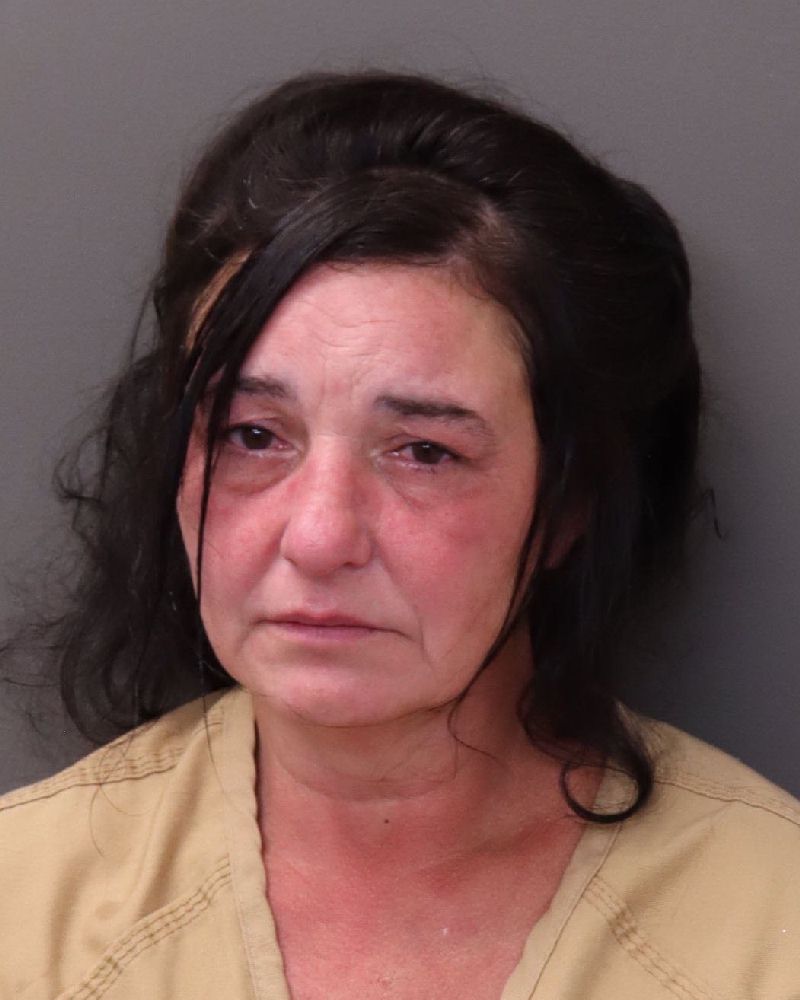 Janet L Turner booking photo