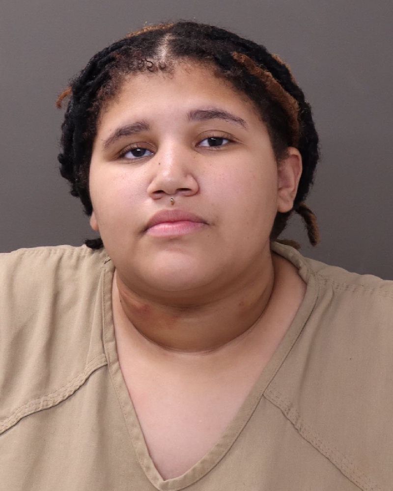 Booking photo of Jaelynn Ani Barchetti