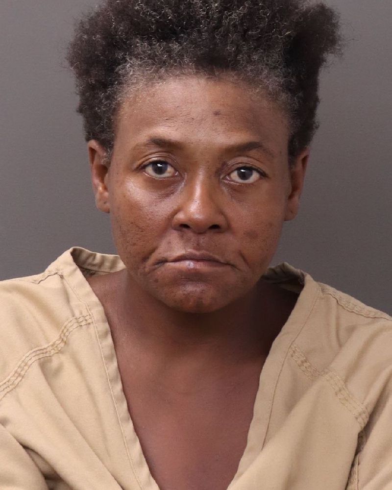 Leslie M Young booking photo