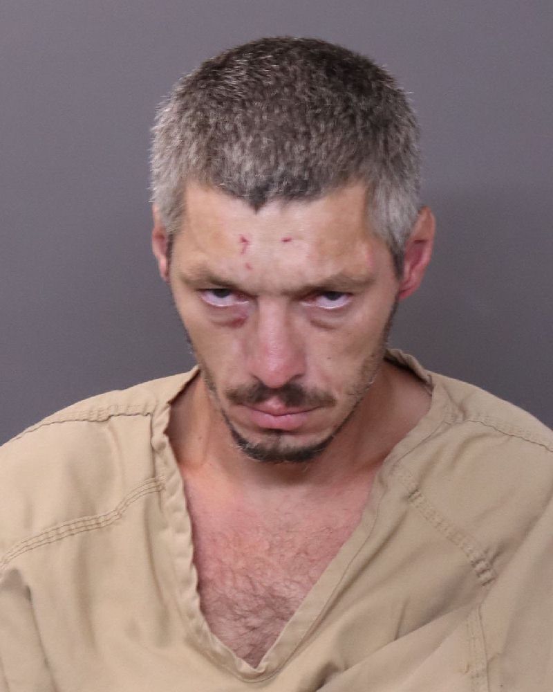 Jamie Lee Gillepsie booking photo