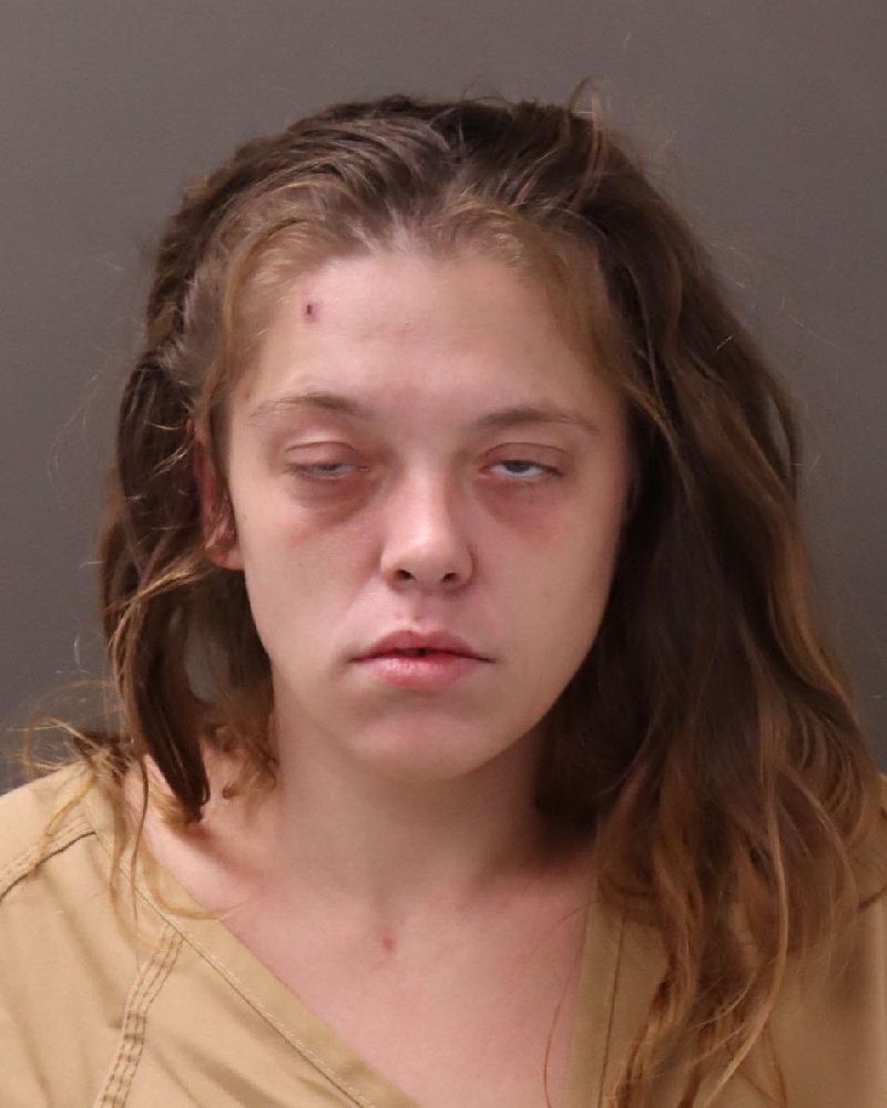 Sadie Lynn Mullins booking photo