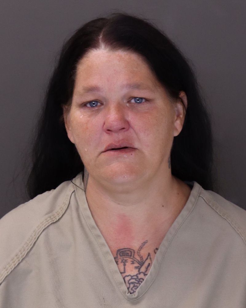 Booking photo of Bobbi Joe Williams