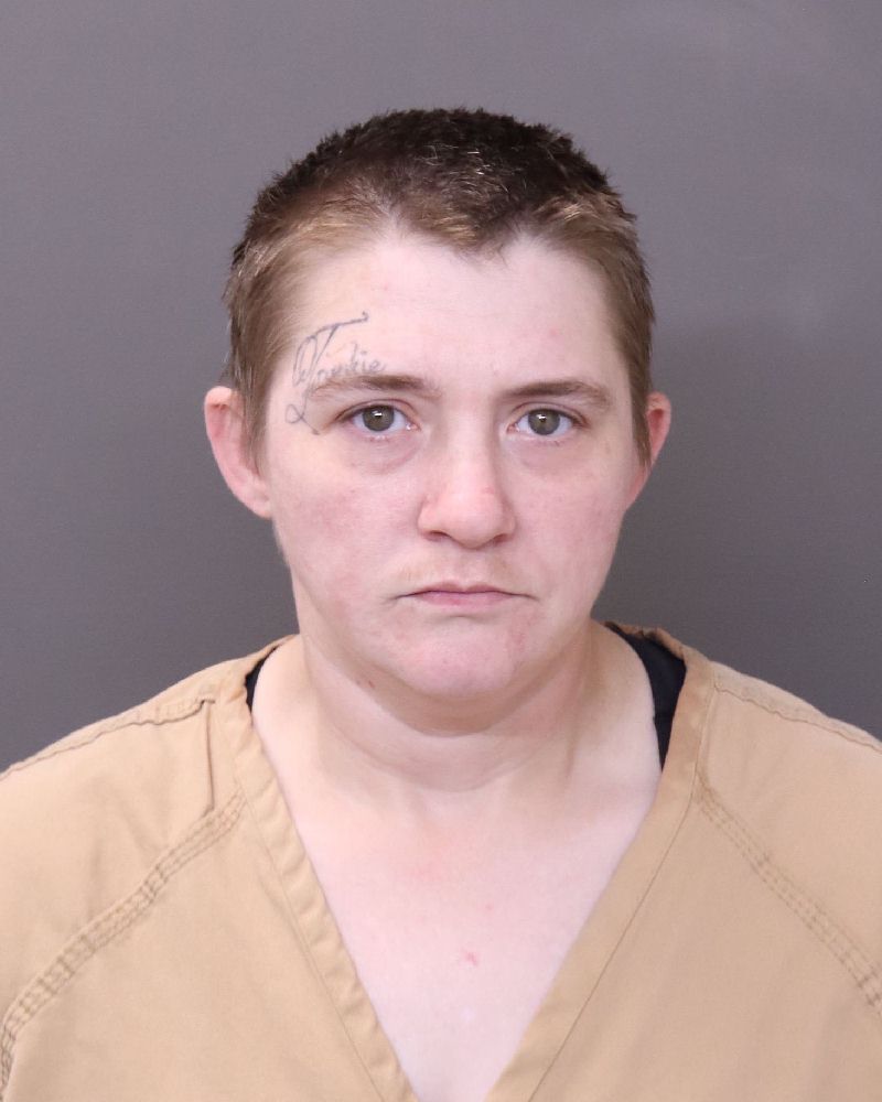 Booking photo of Tiffany Ann Flowers