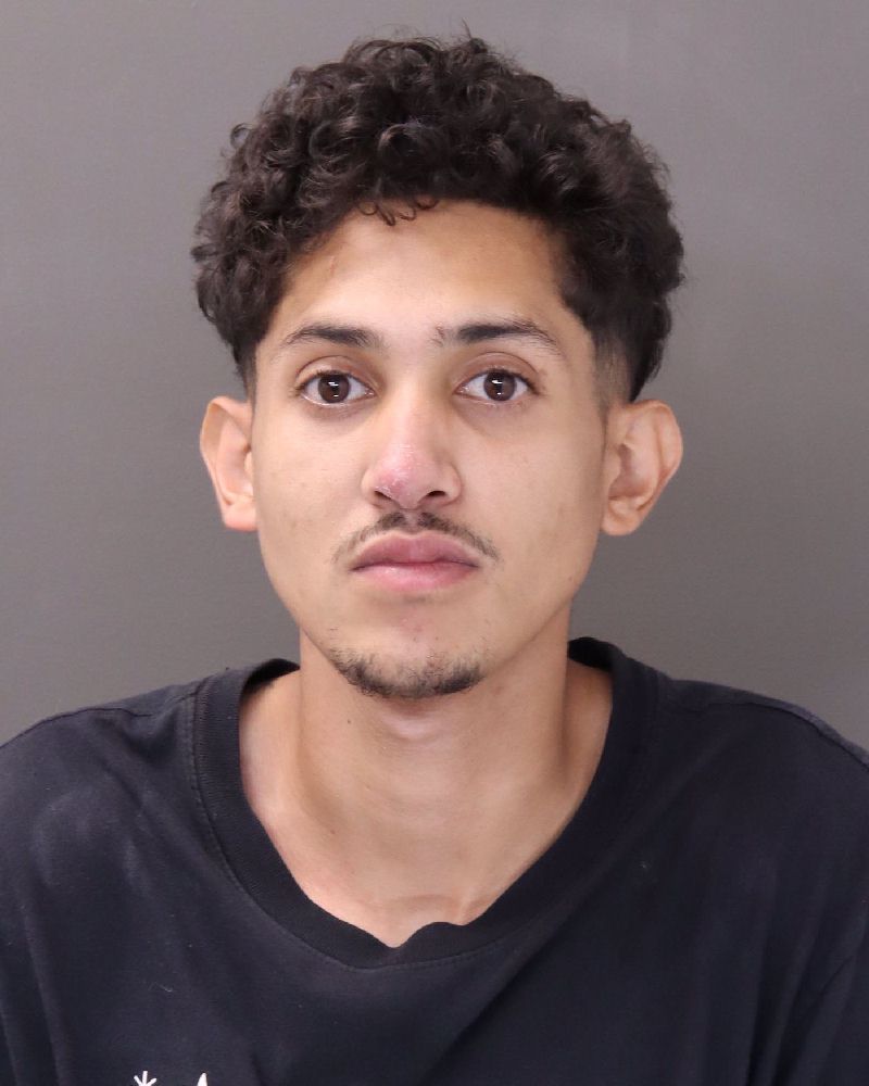 Anderson Castellanos booking photo