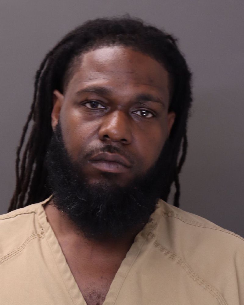 Booking photo of Dominique Robinson