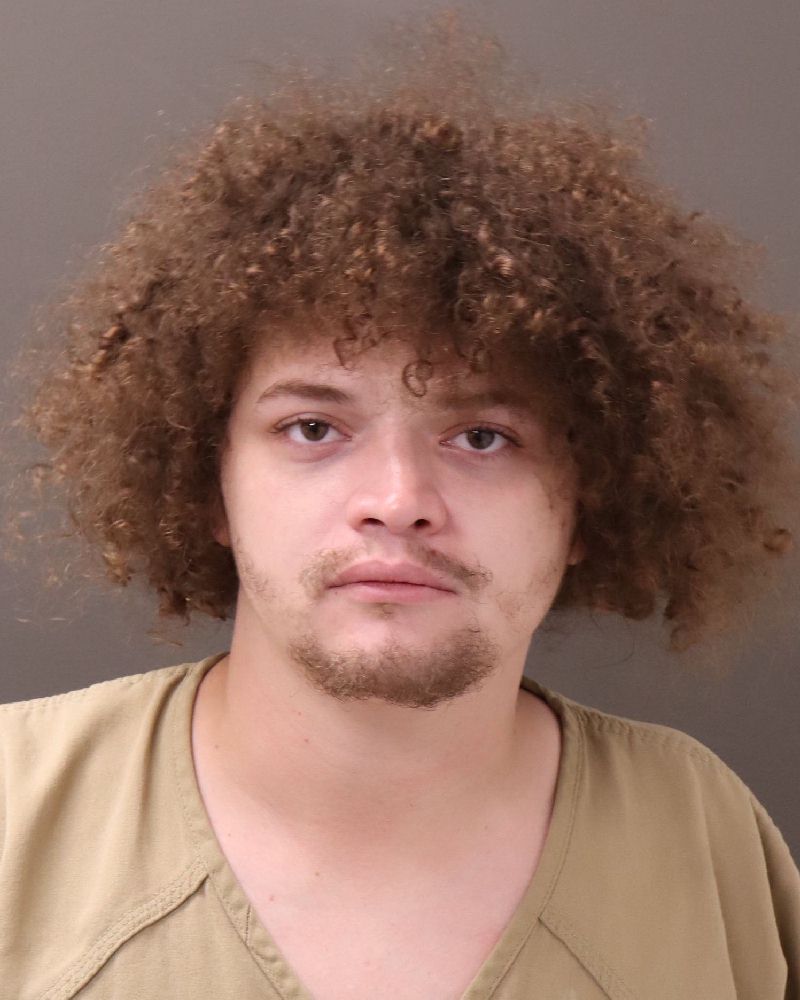 Booking photo of Dominique J Miller