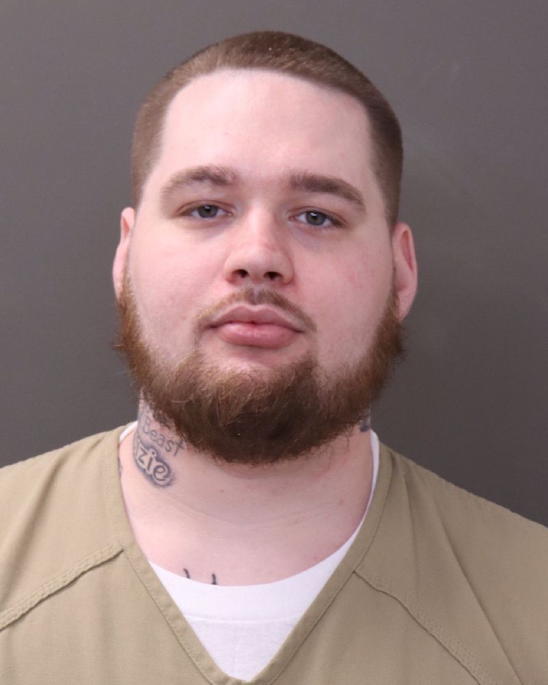 Booking photo of Michael Aswegan