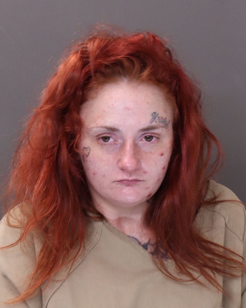 Booking photo of Patricia Dawn Hales