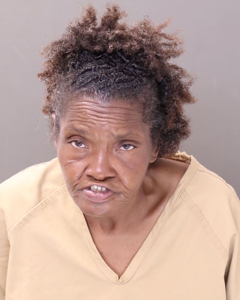 Booking photo of Rhonda L Hale