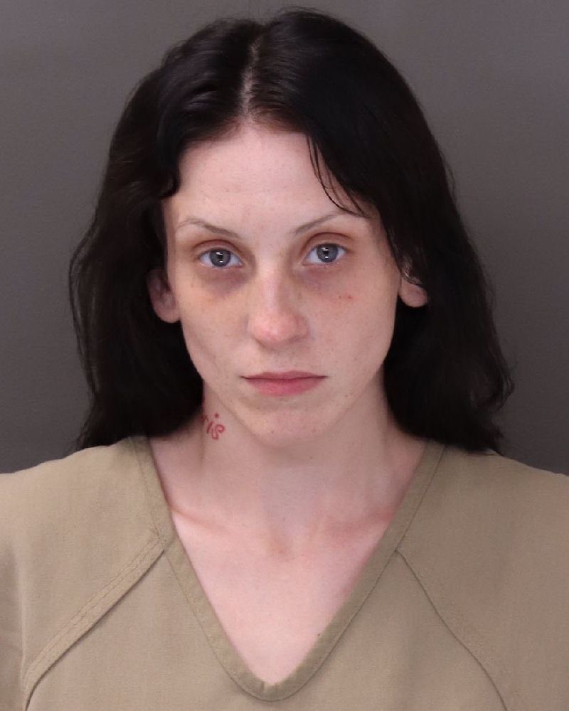 Booking photo of Tierra Nichole Taylor
