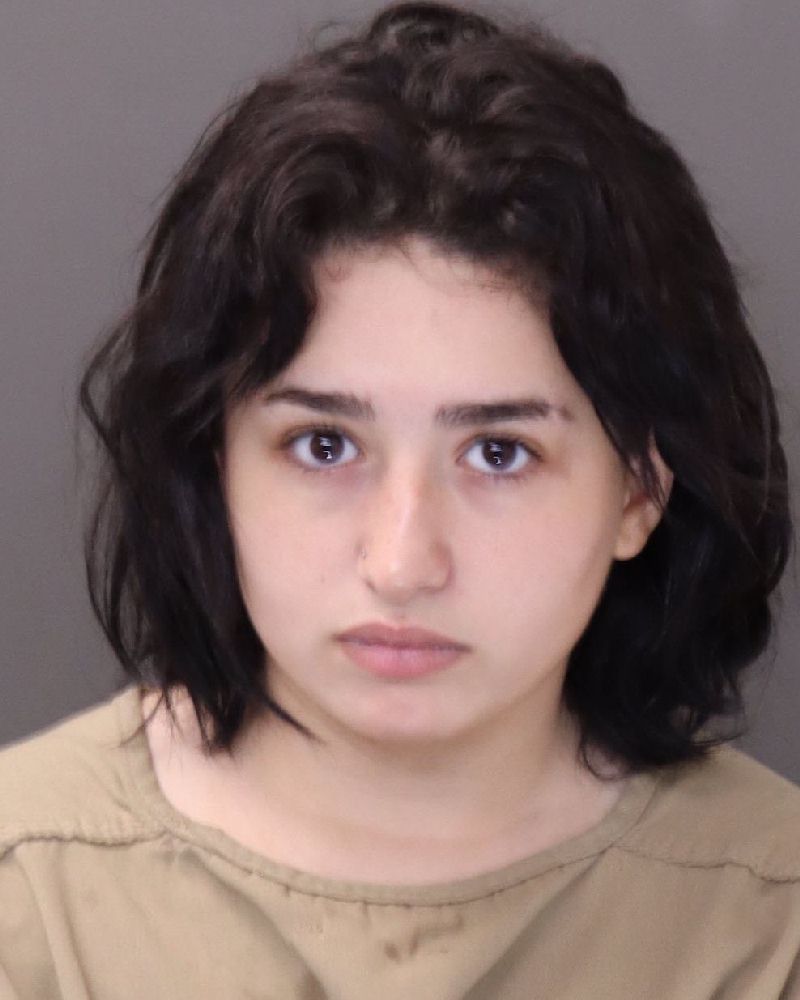 Booking photo of Teya Kabbani