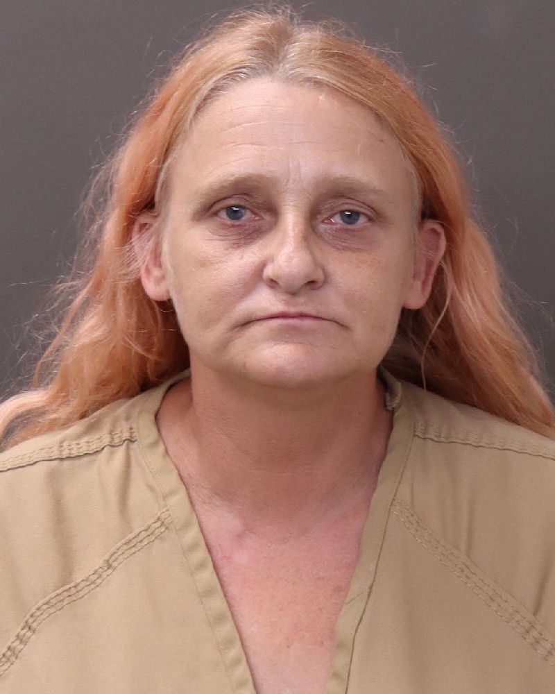 Booking photo of Brenda Beam