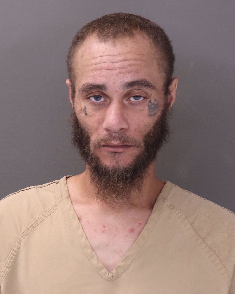 Booking photo of Ryan Rose
