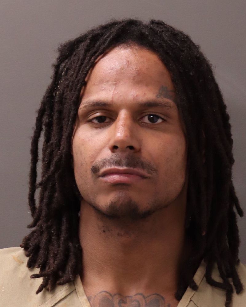 Booking photo of Dion Anthony Toson