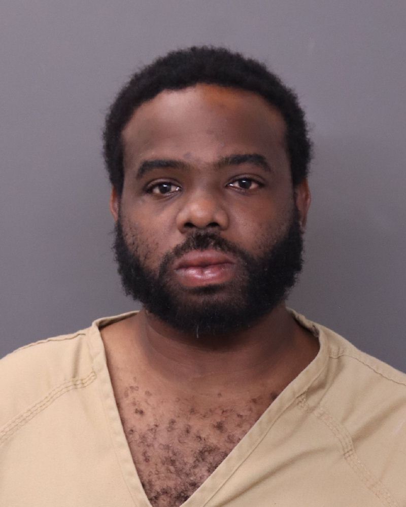 Booking photo of Brandon James Ellis