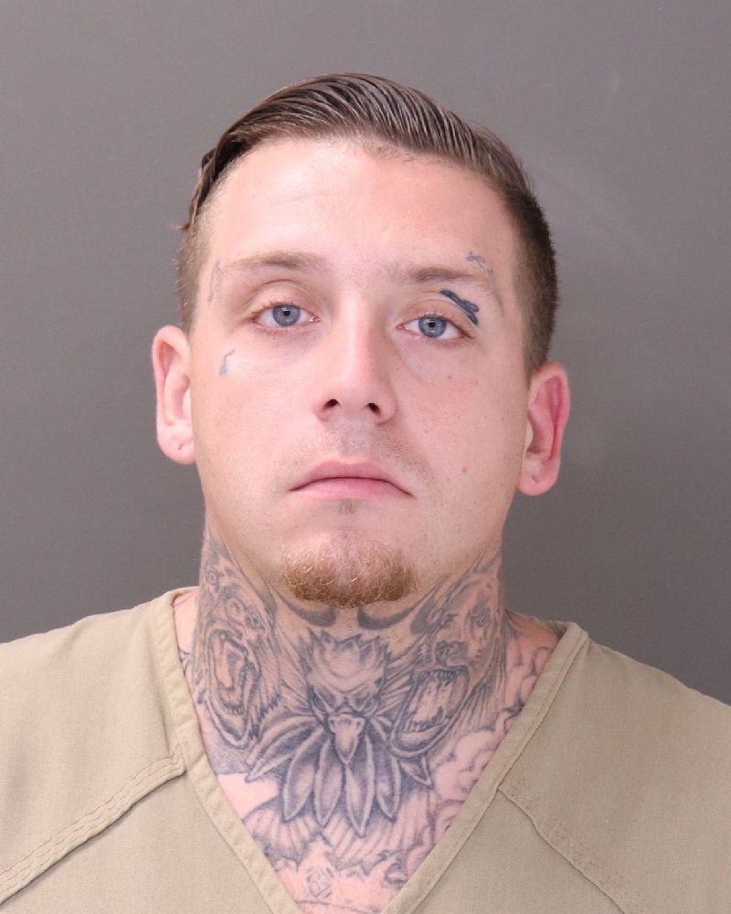 Nicholas Hamilton booking photo
