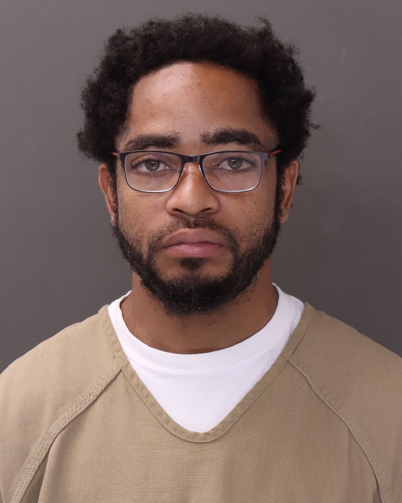 Booking photo of Ronald Turon Young
