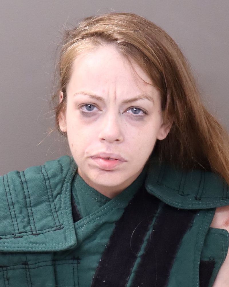 Booking photo of Alison Michelle Mitchell
