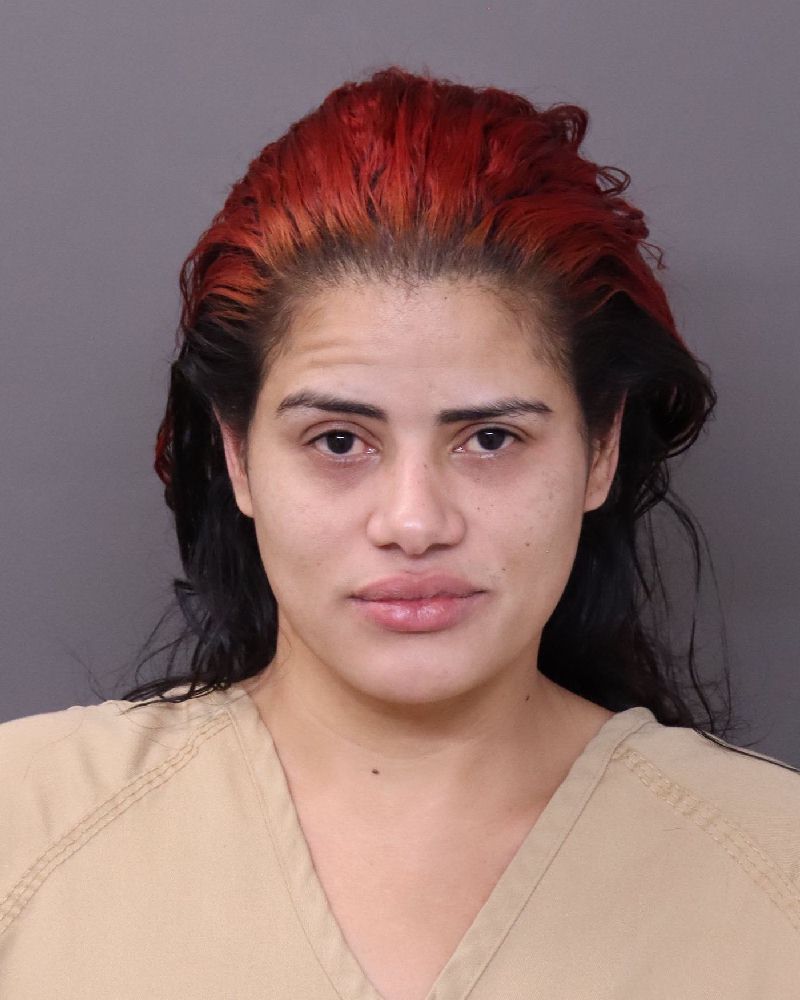 Booking photo of Claribel Sanchez Paulino