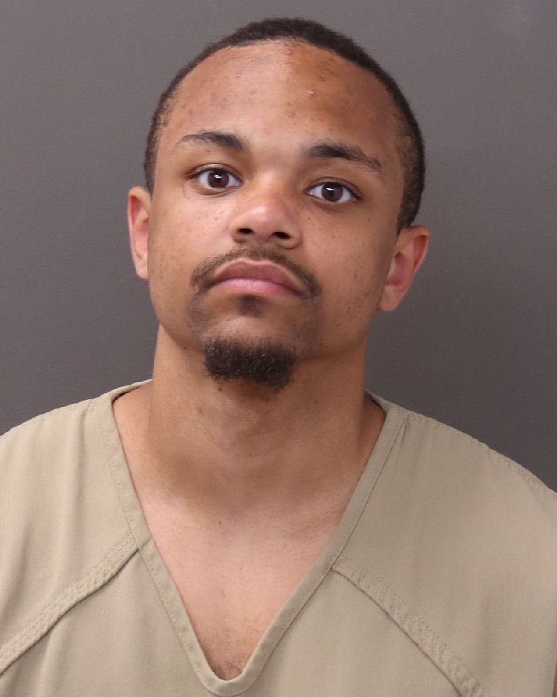 Booking photo of Dakota White