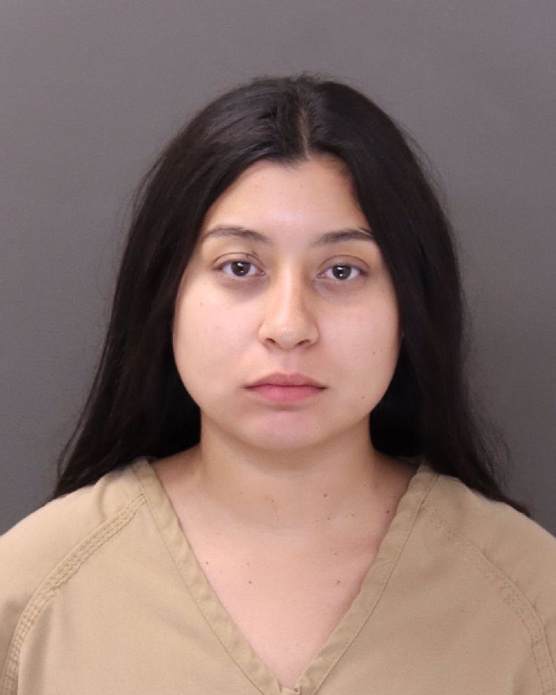 Booking photo of Isabella Maria Silva