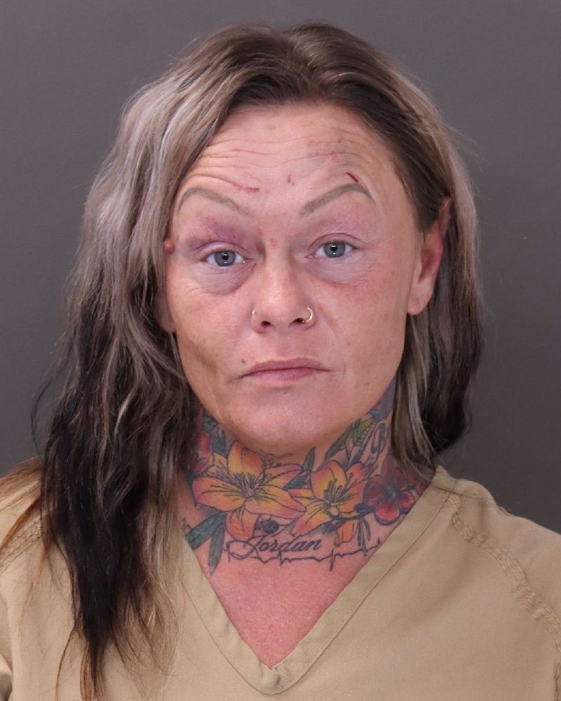 Booking photo of Megan Renee Blain