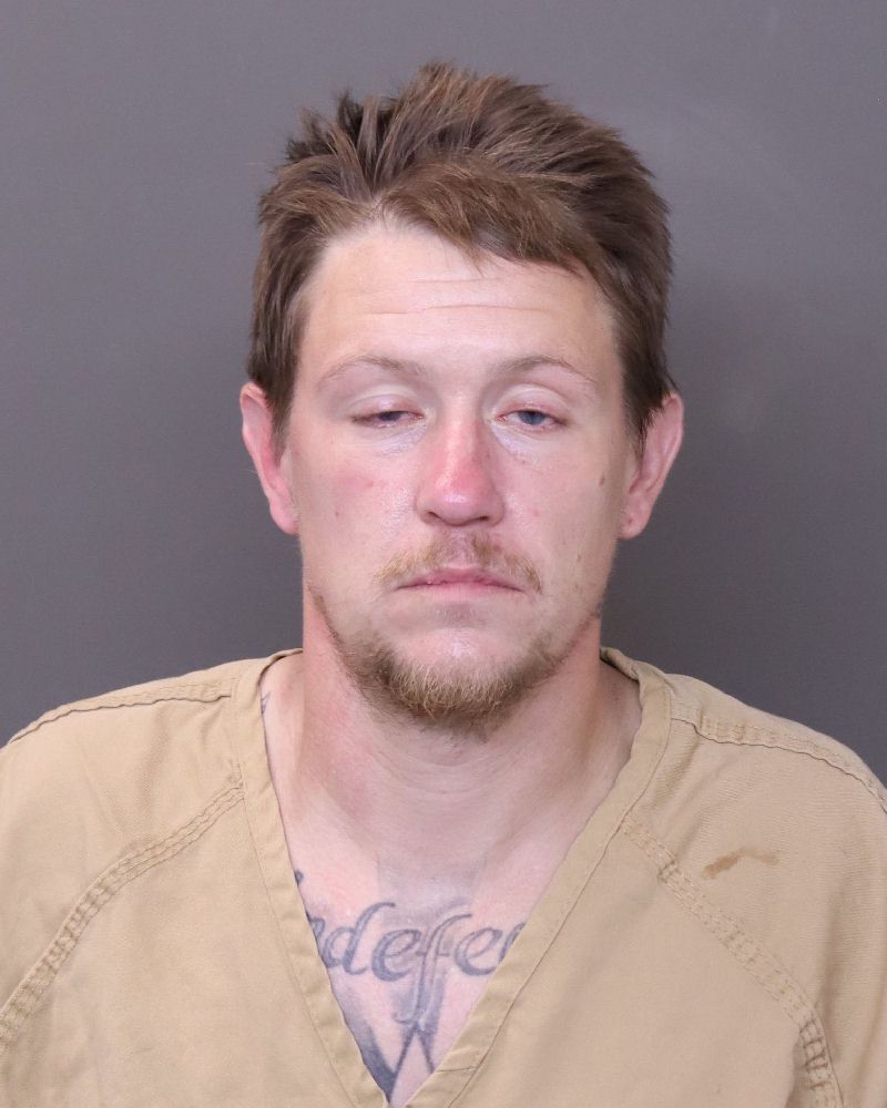Booking photo of William Morton Jr Reed
