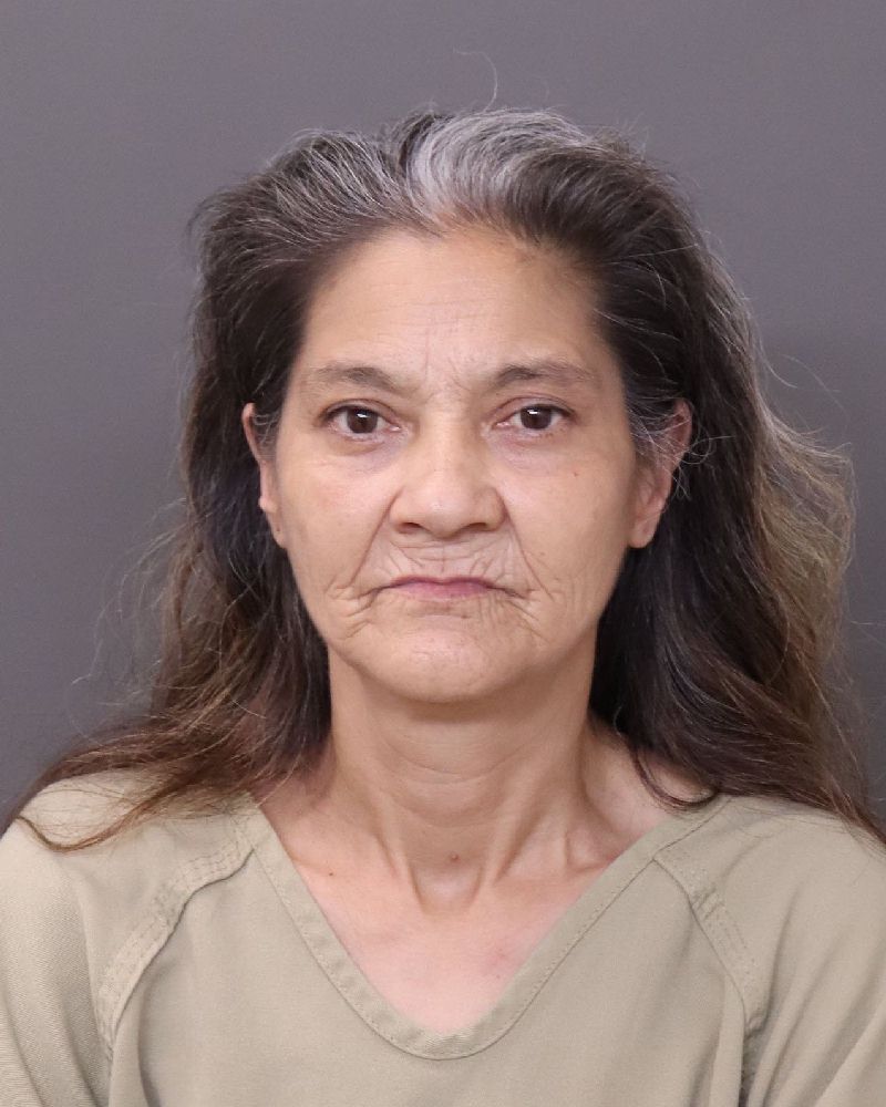 Booking photo of Lisa A Rhoads