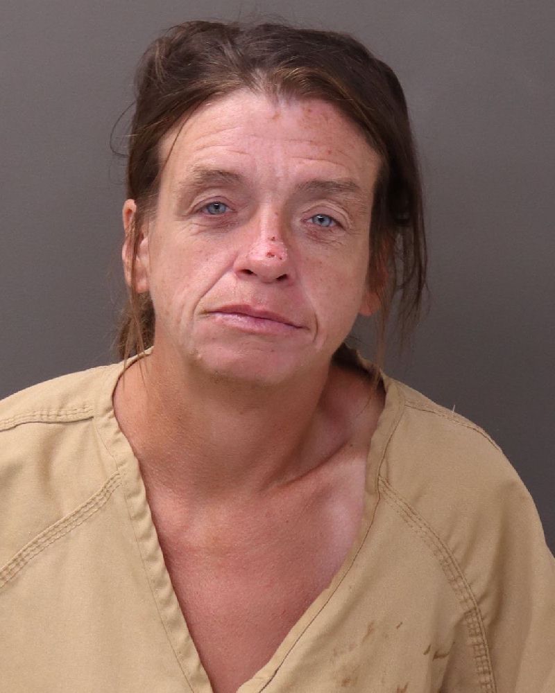 Booking photo of Elizabeth A Curtis