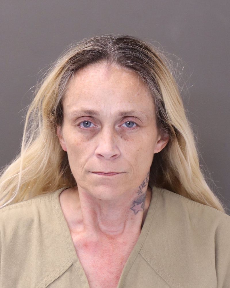 Booking photo of Danielle Nicole Wilkins