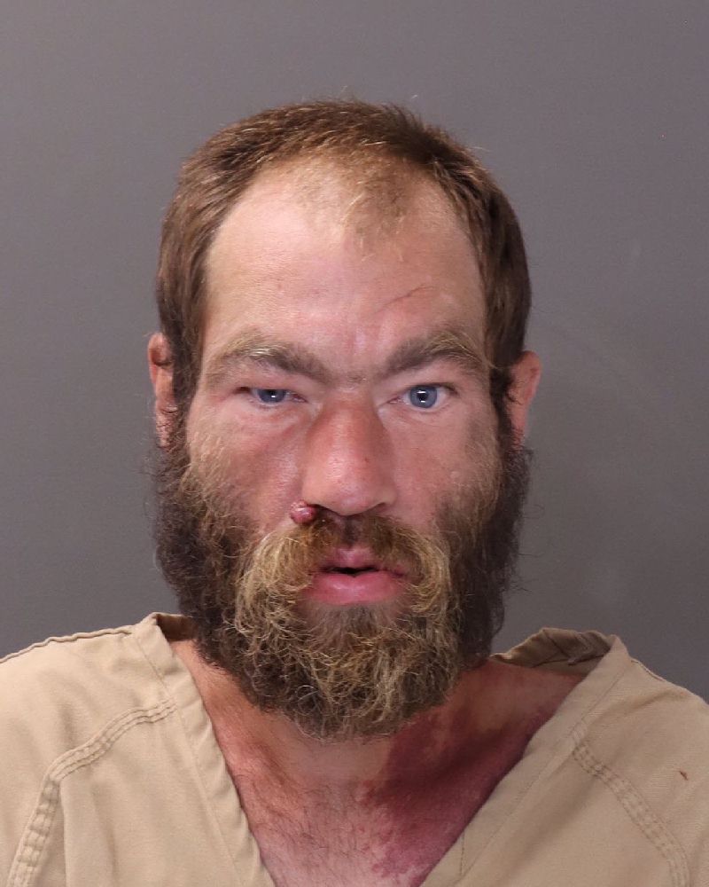Booking photo of David L Jr Ferrell