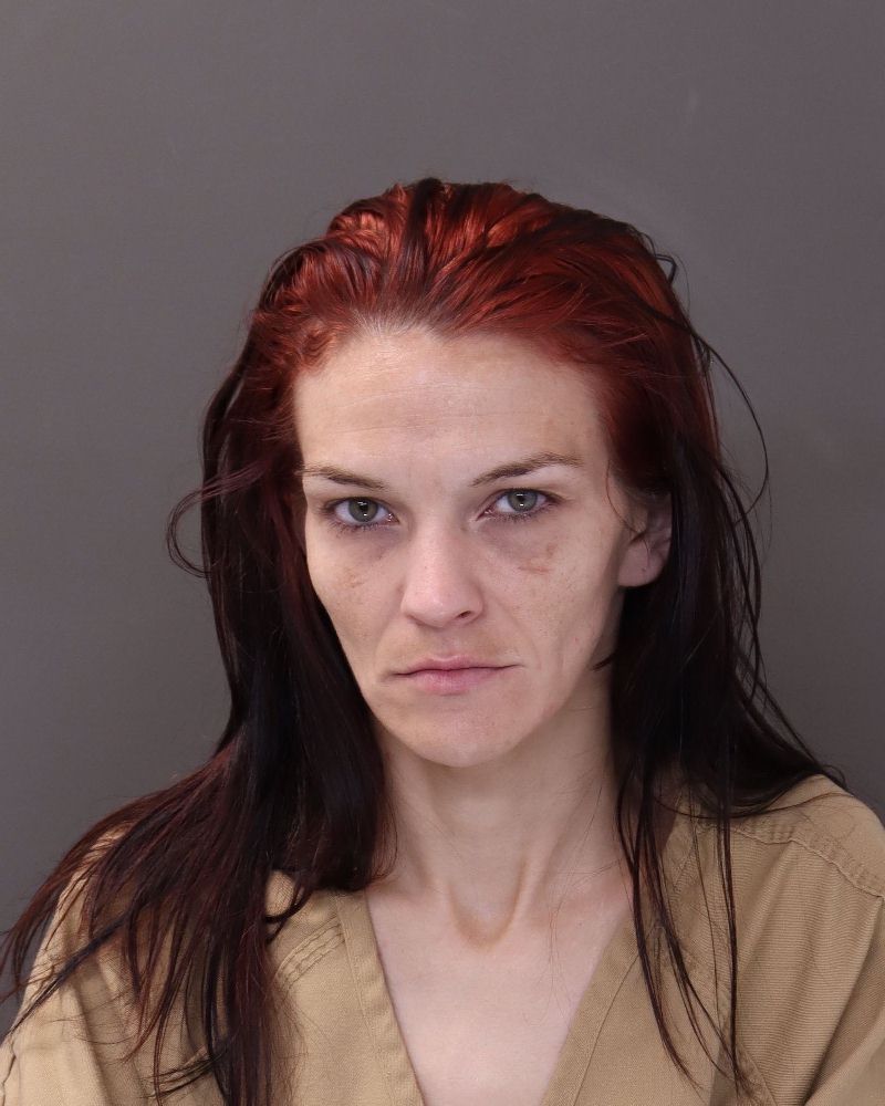 Booking photo of Meranda Diles