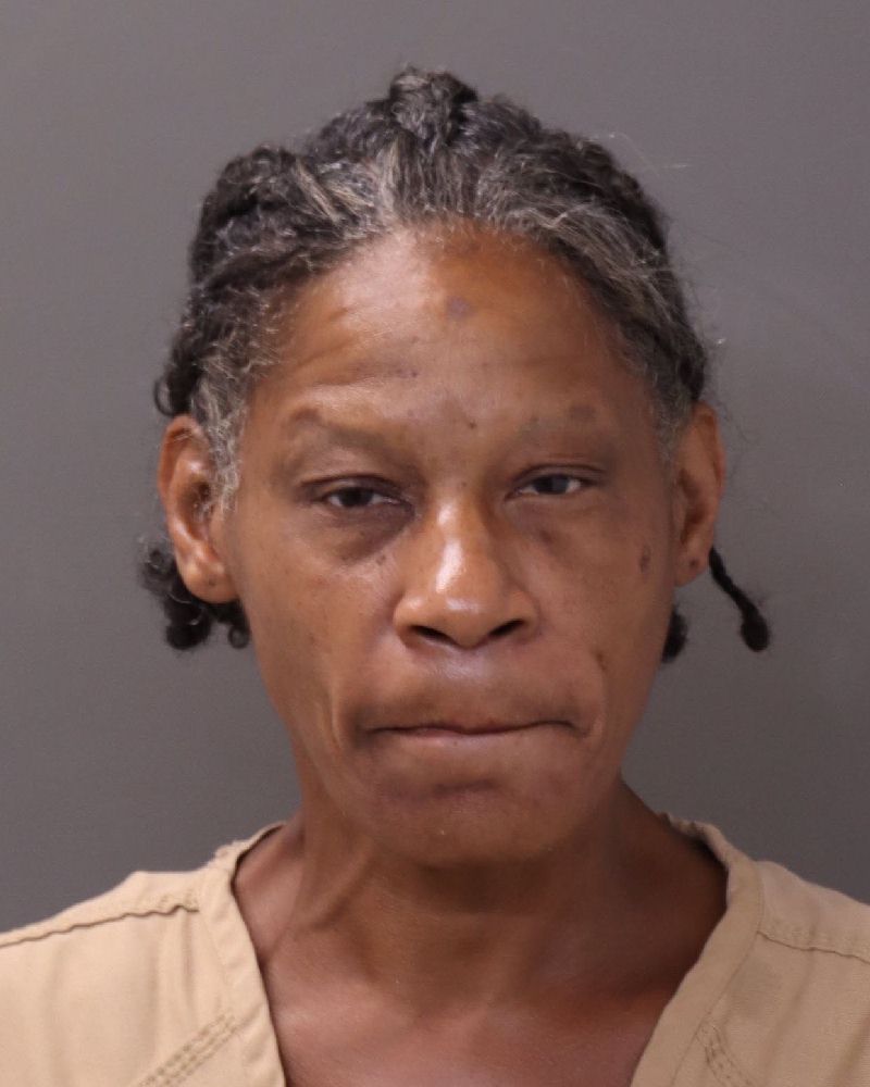 Booking photo of Melynda N Ross