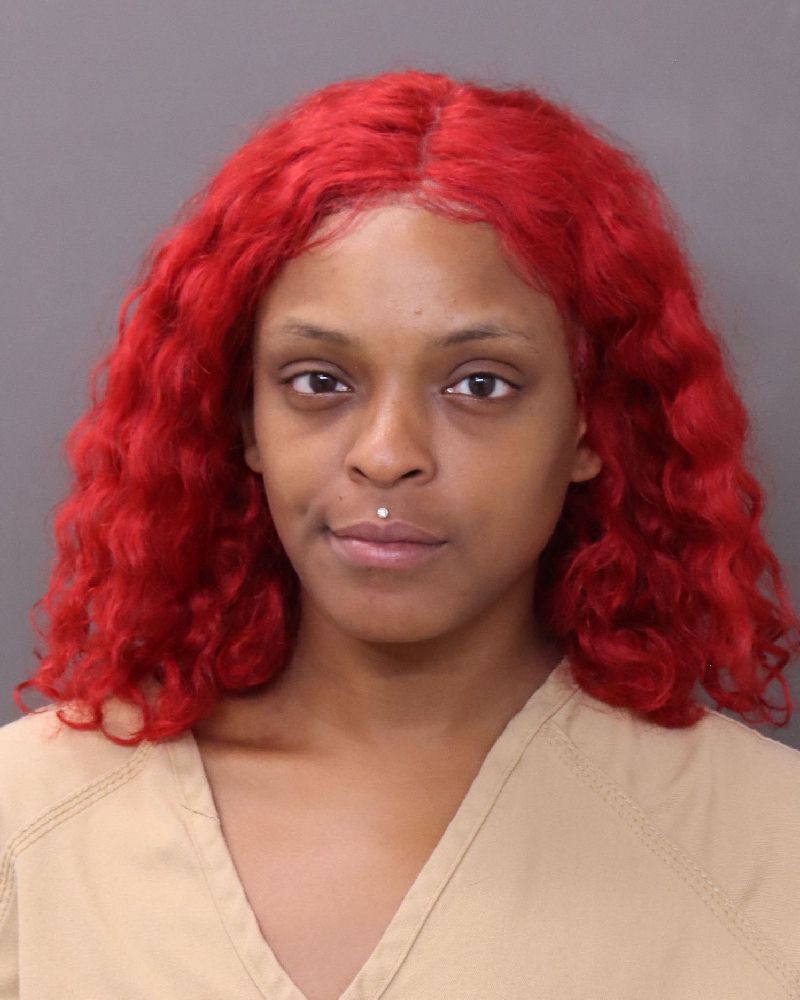 Booking photo of Neka Theresa Turner
