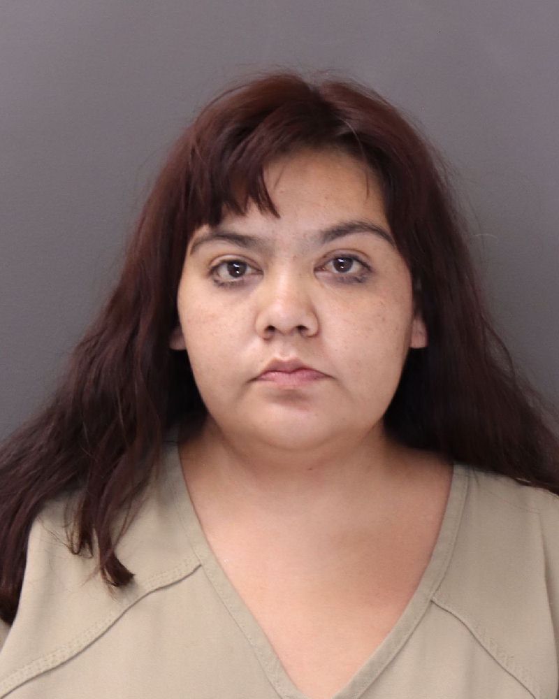 Booking photo of Dania Floresramirez