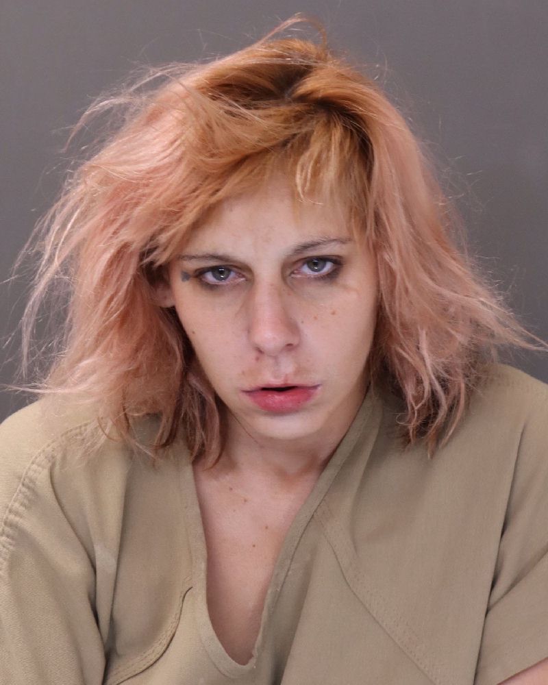 Booking photo of Marissa Hudson