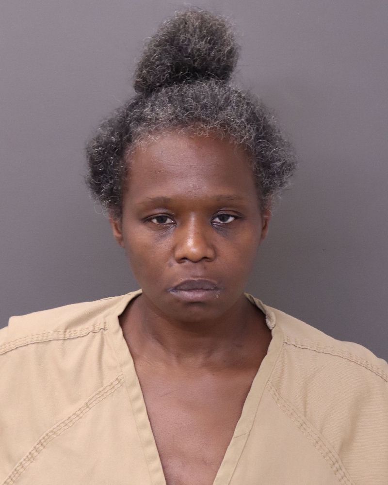 Booking photo of Nina Gibson-riser