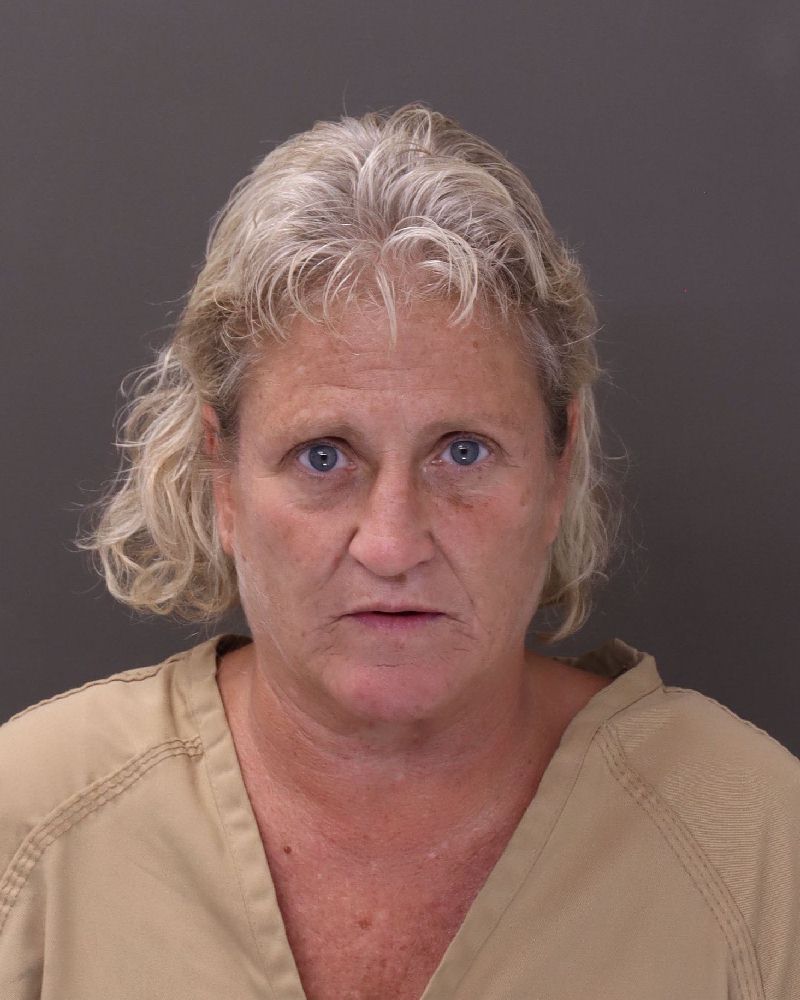Booking photo of Lisa Carmean