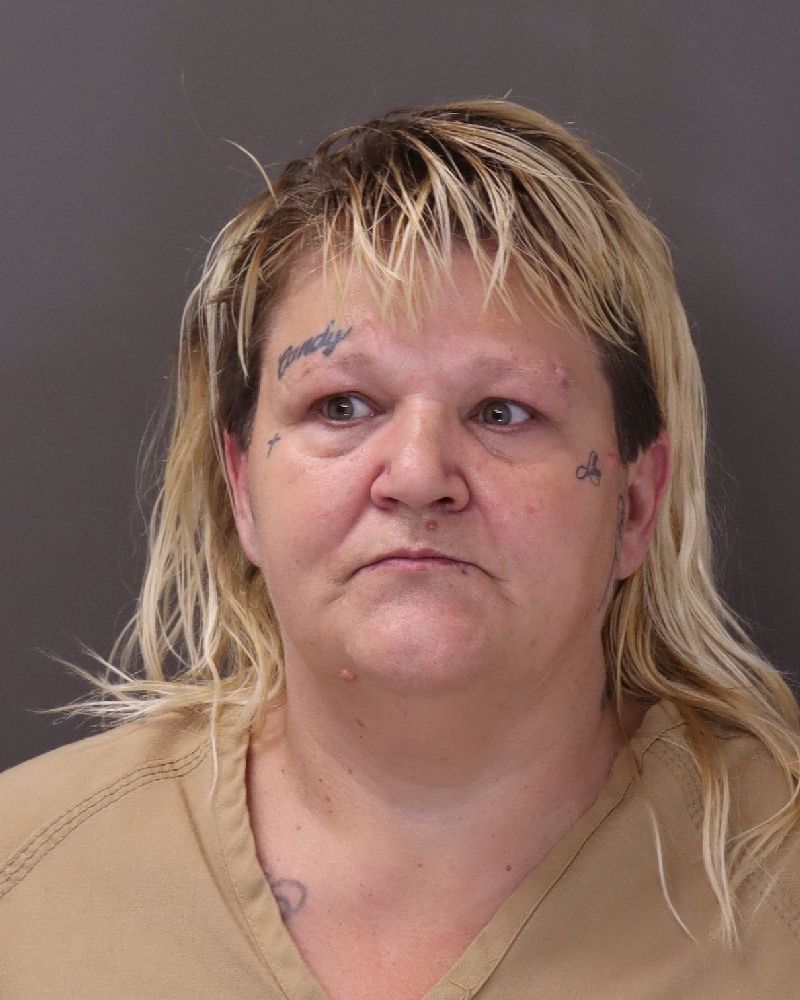 Booking photo of Candy S Ferrin
