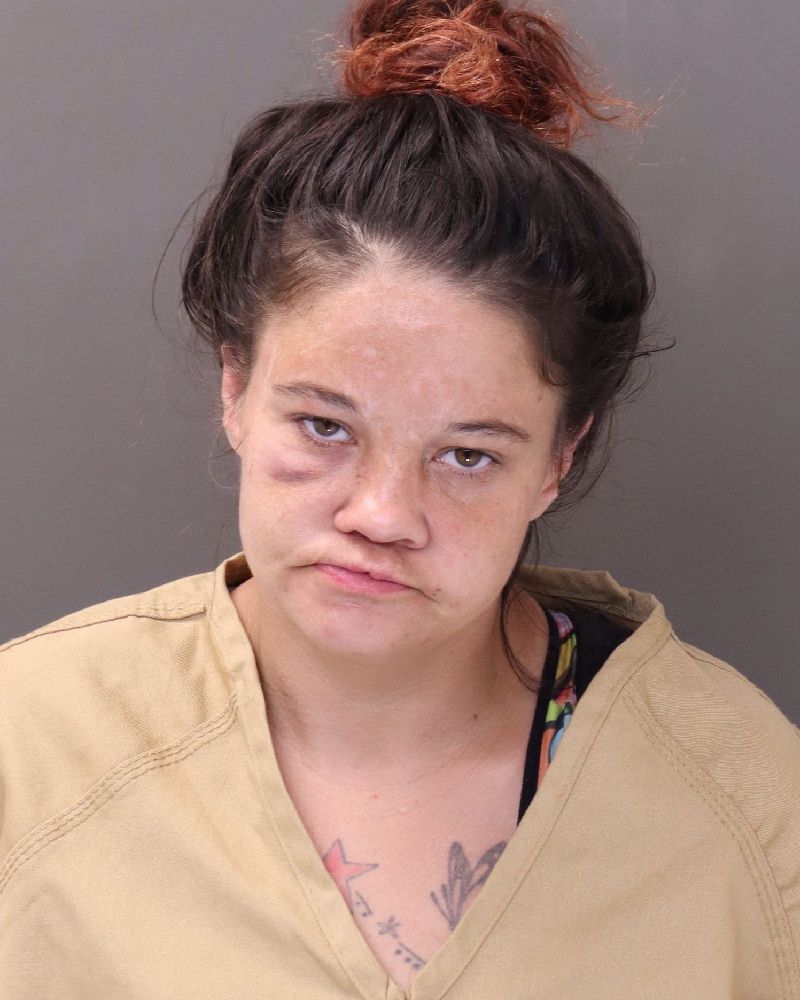 Natasha Erwin booking photo
