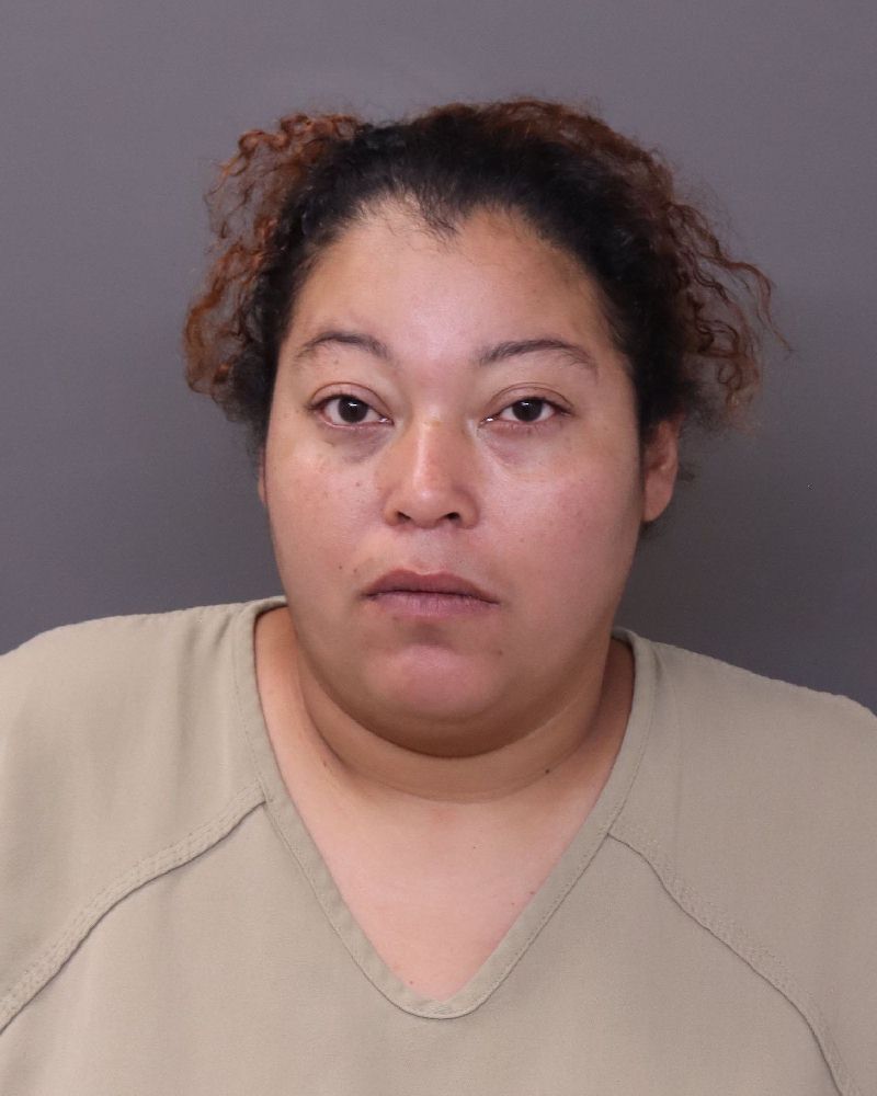 Diana Garcia booking photo